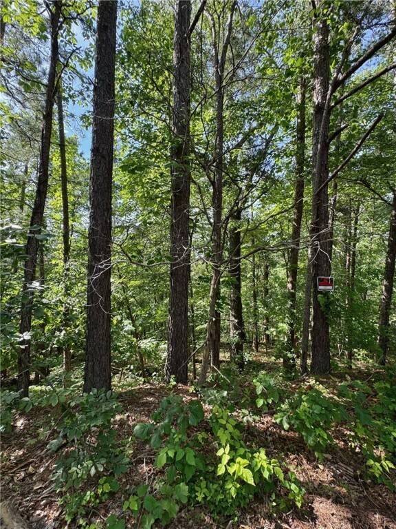 Property Photo:  Lot 34-35 Dunholme Drive  AR 72714 