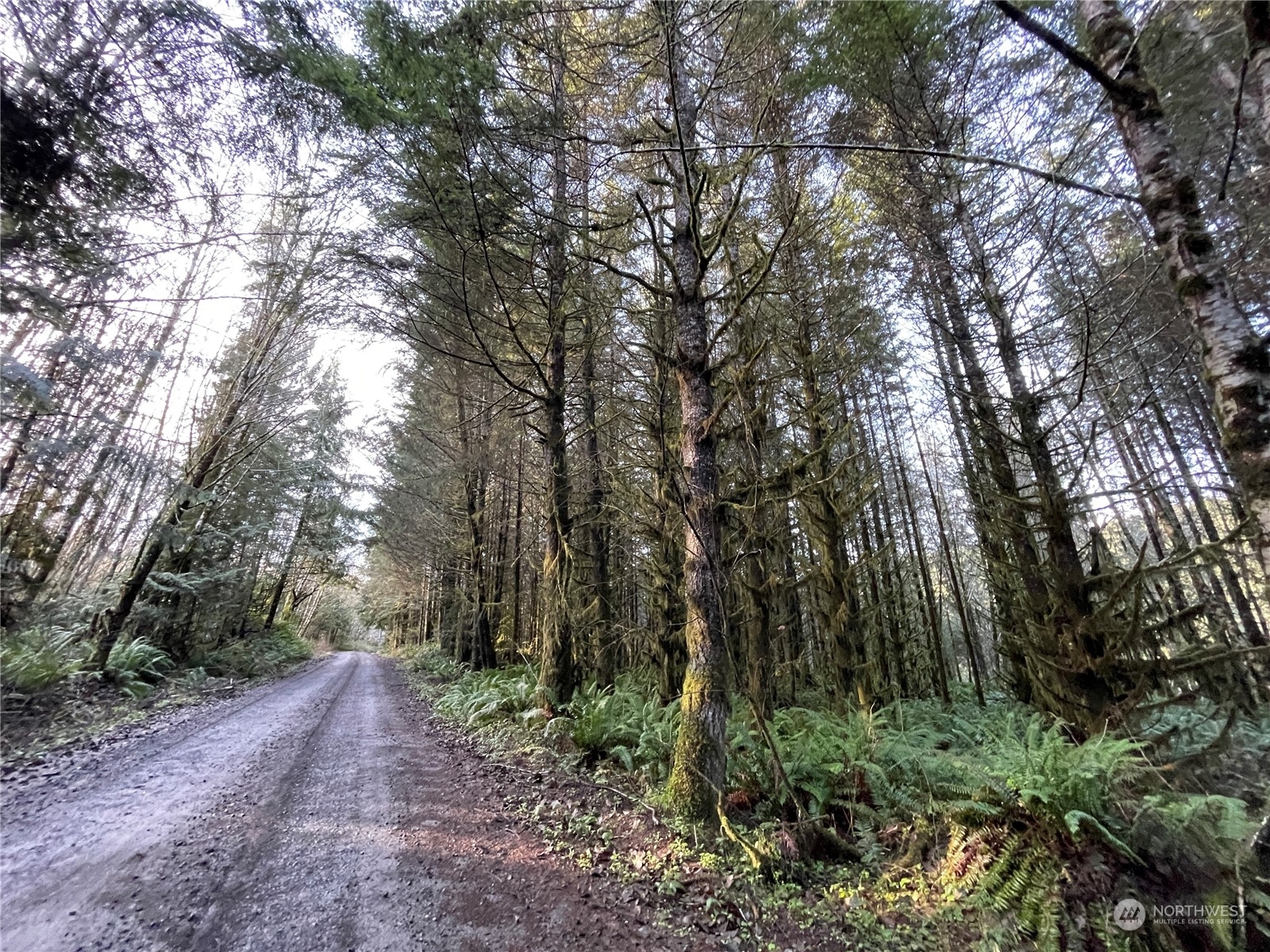 Property Photo:  0 Na Oak Point Road  WA 98632 