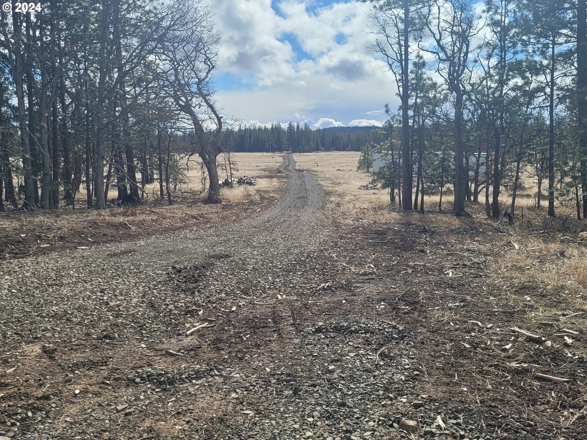 Property Photo:  Tanzanite Rd  WA 98620 