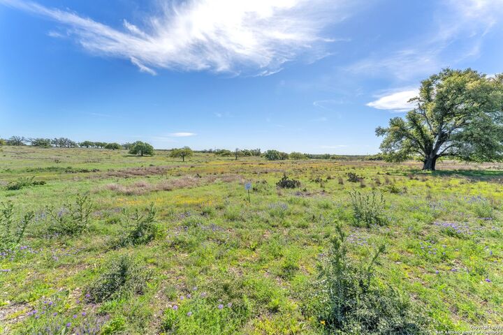 Photo de la propriété:  167 NW Nantan Ln  TX 78631 