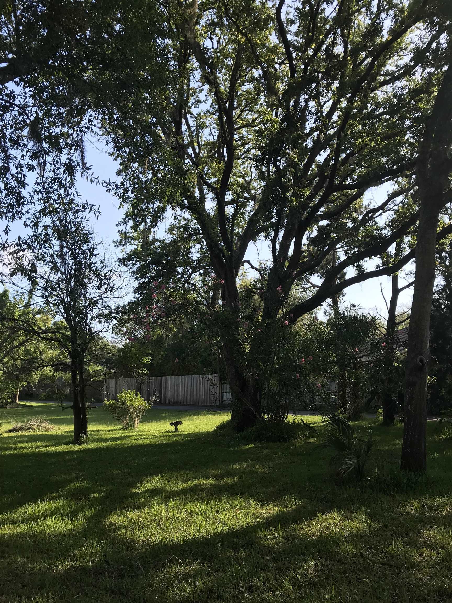 Property Photo:  Madrid St Lot 3  FL 32080 