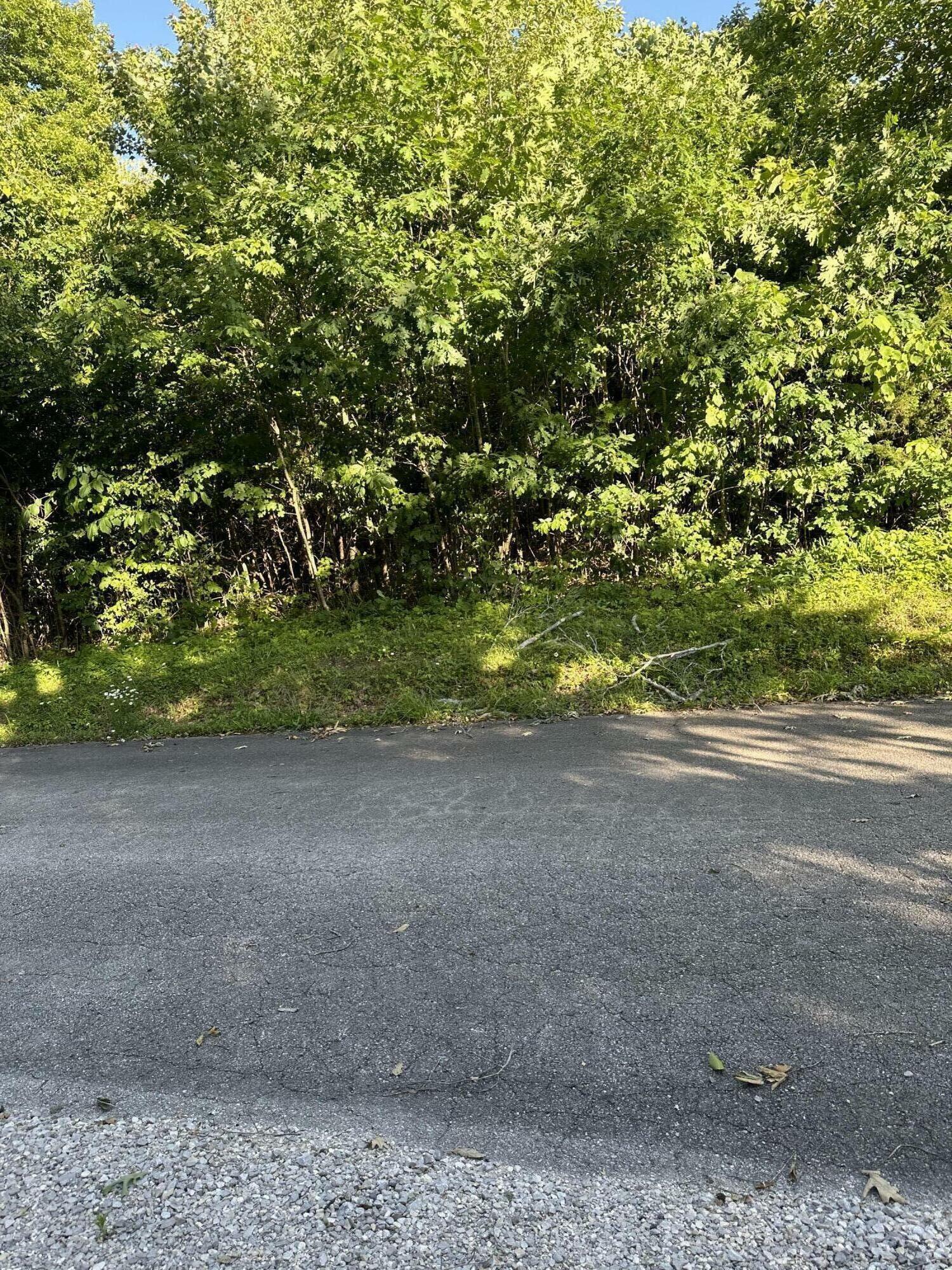 Property Photo:  185 Wondering Woods Drive Drive Lot 33  KY 42501 