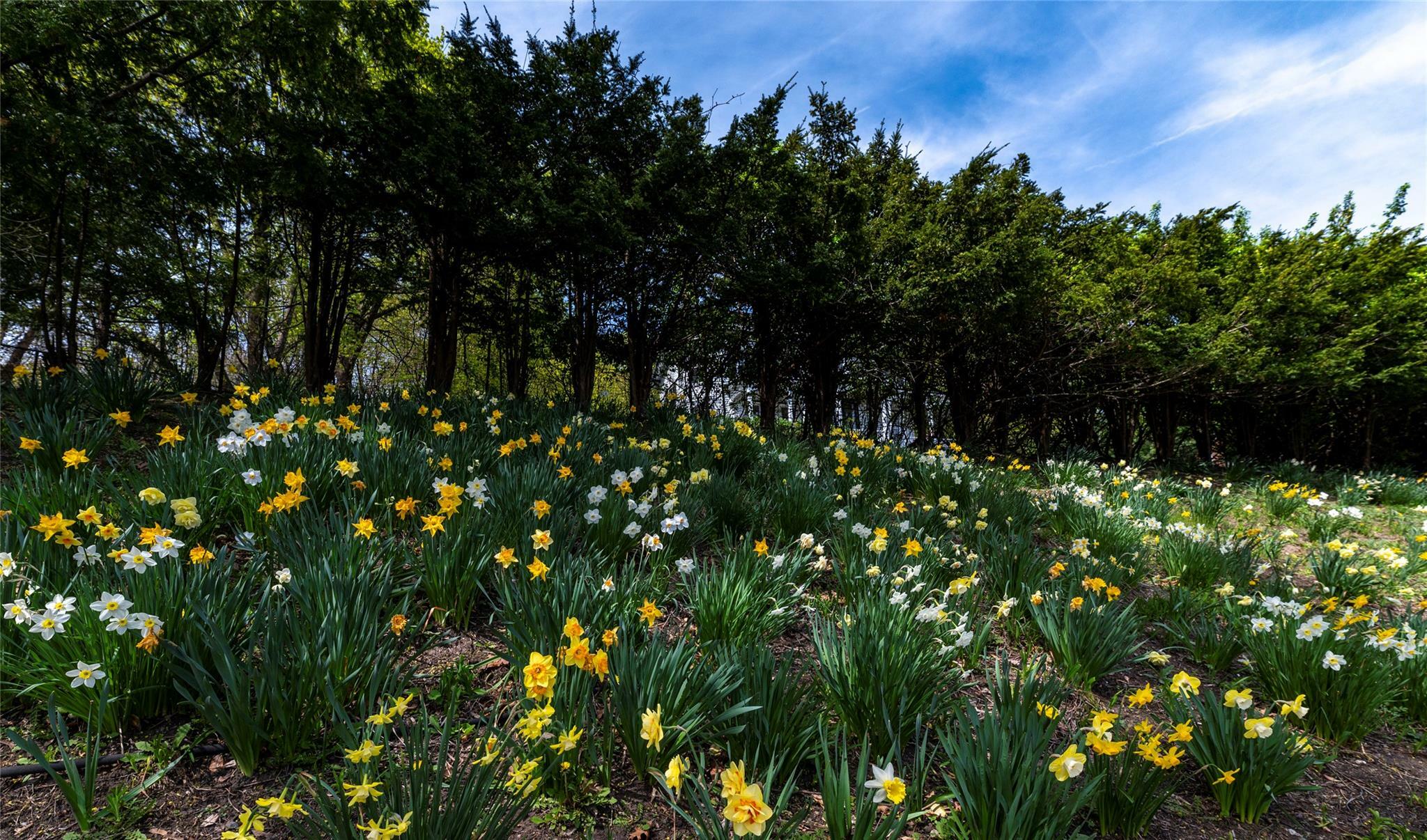 Property Photo: 74 S Highland Avenue NY 10960