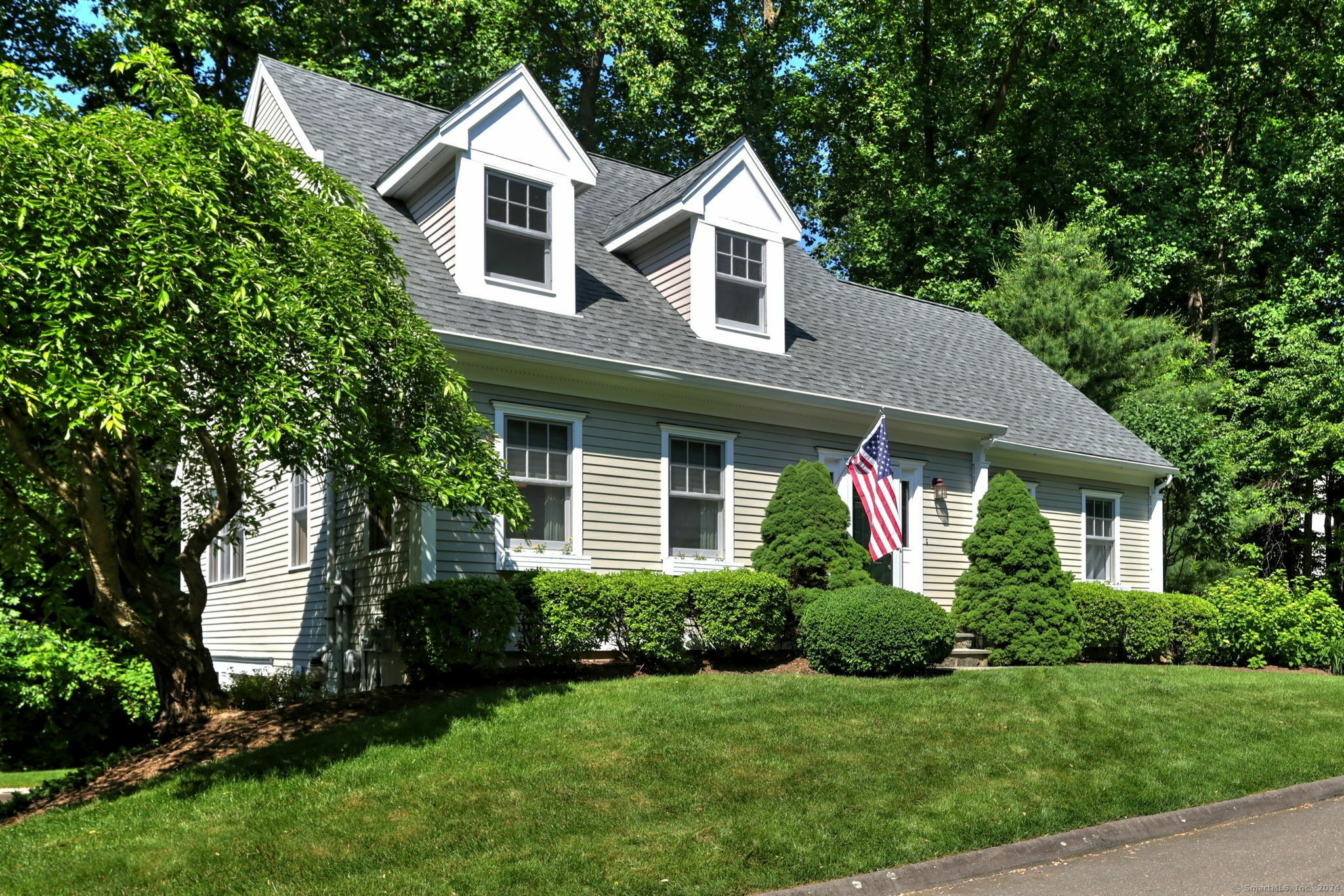 Property Photo:  17 Bunker Hill Circle  CT 06484 