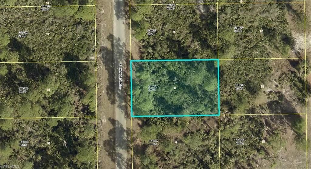 Photo de la propriété: 837 Giorgio Ave S FL 33974