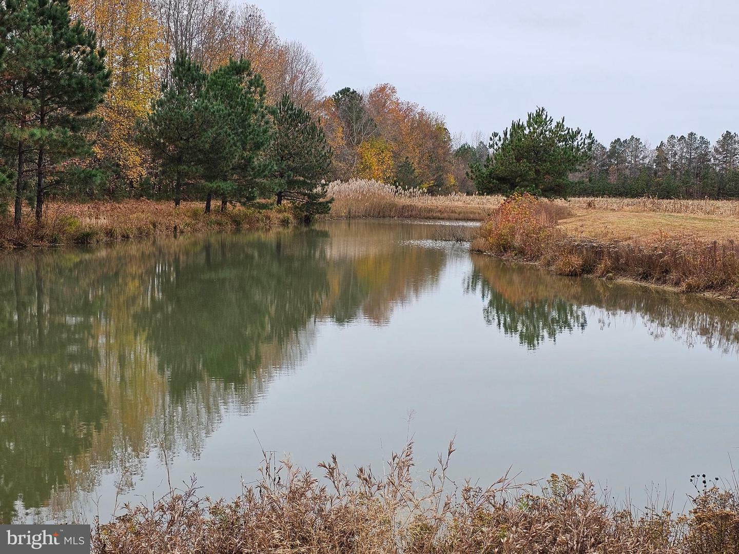 Property Photo:  Lot 8 Song Sparrow Circle  MD 21875 