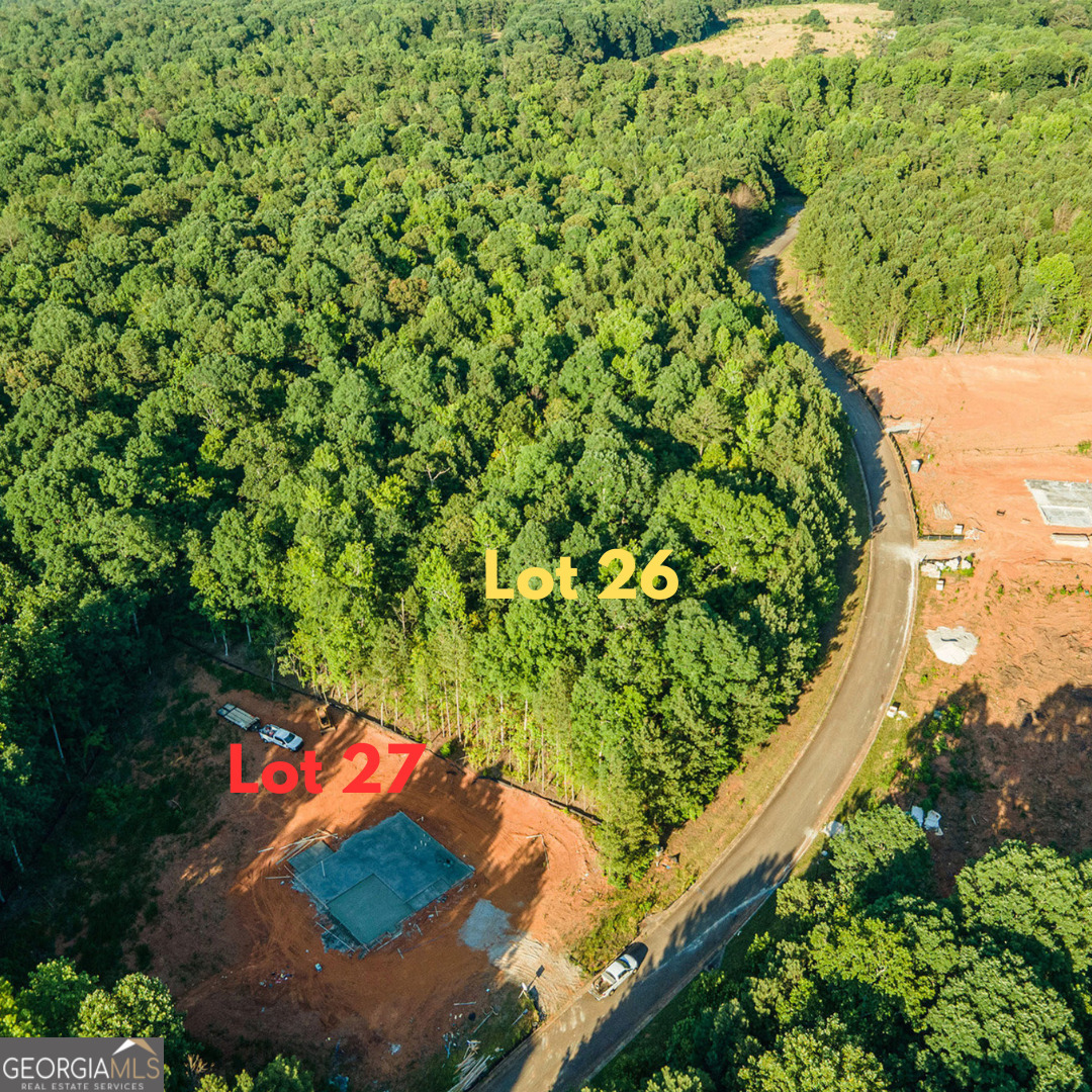 Property Photo:  1011 Queens Bridge Way  GA 30223 