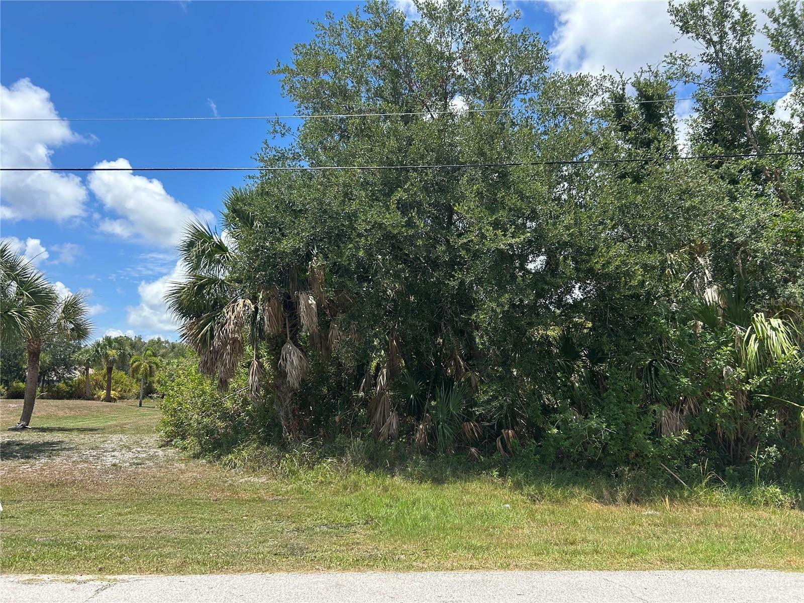 Property Photo:  11948 Newgate Avenue  FL 33981 