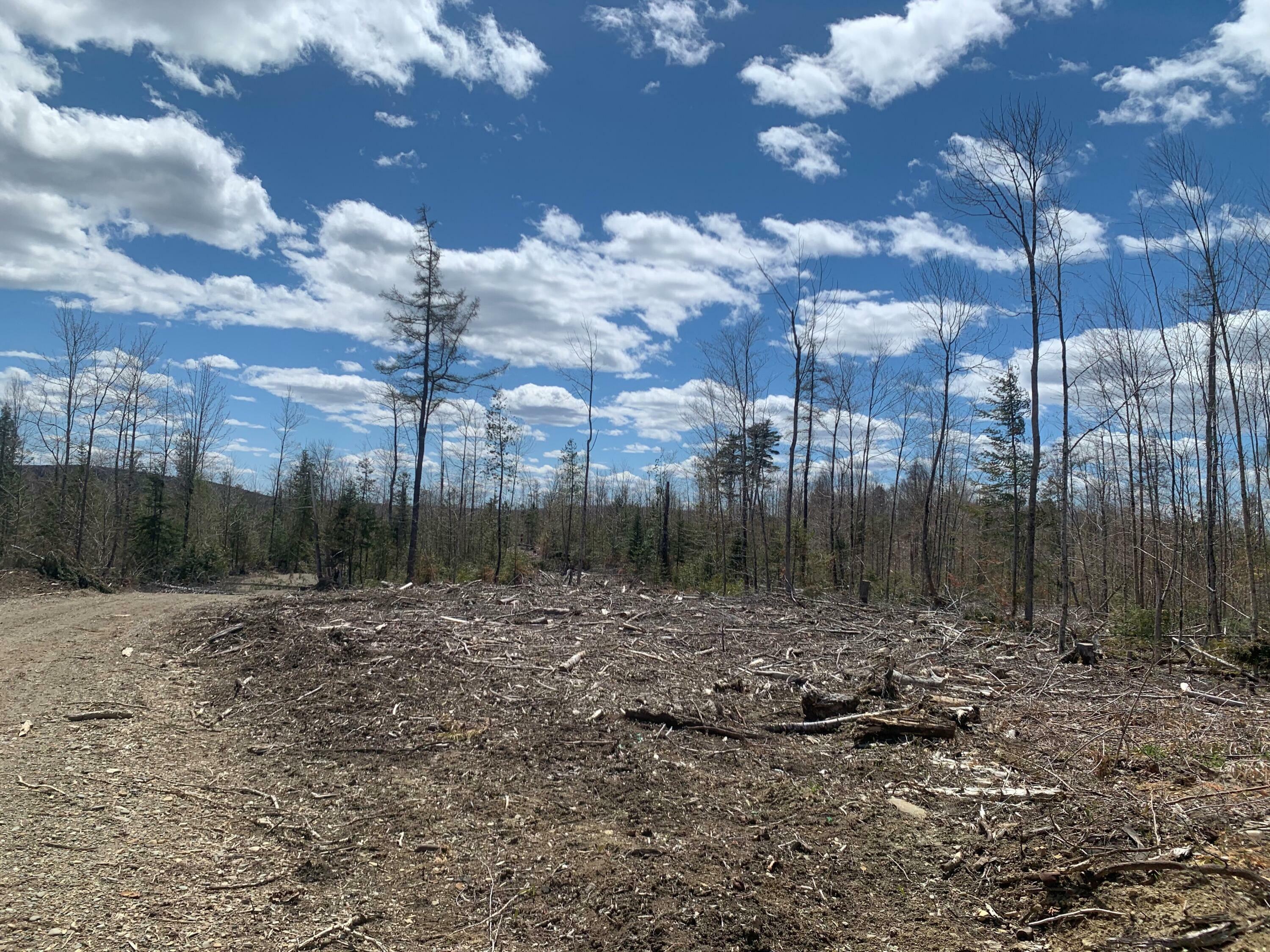 Property Photo:  0A Clearcut Lodge Road  ME 04487 