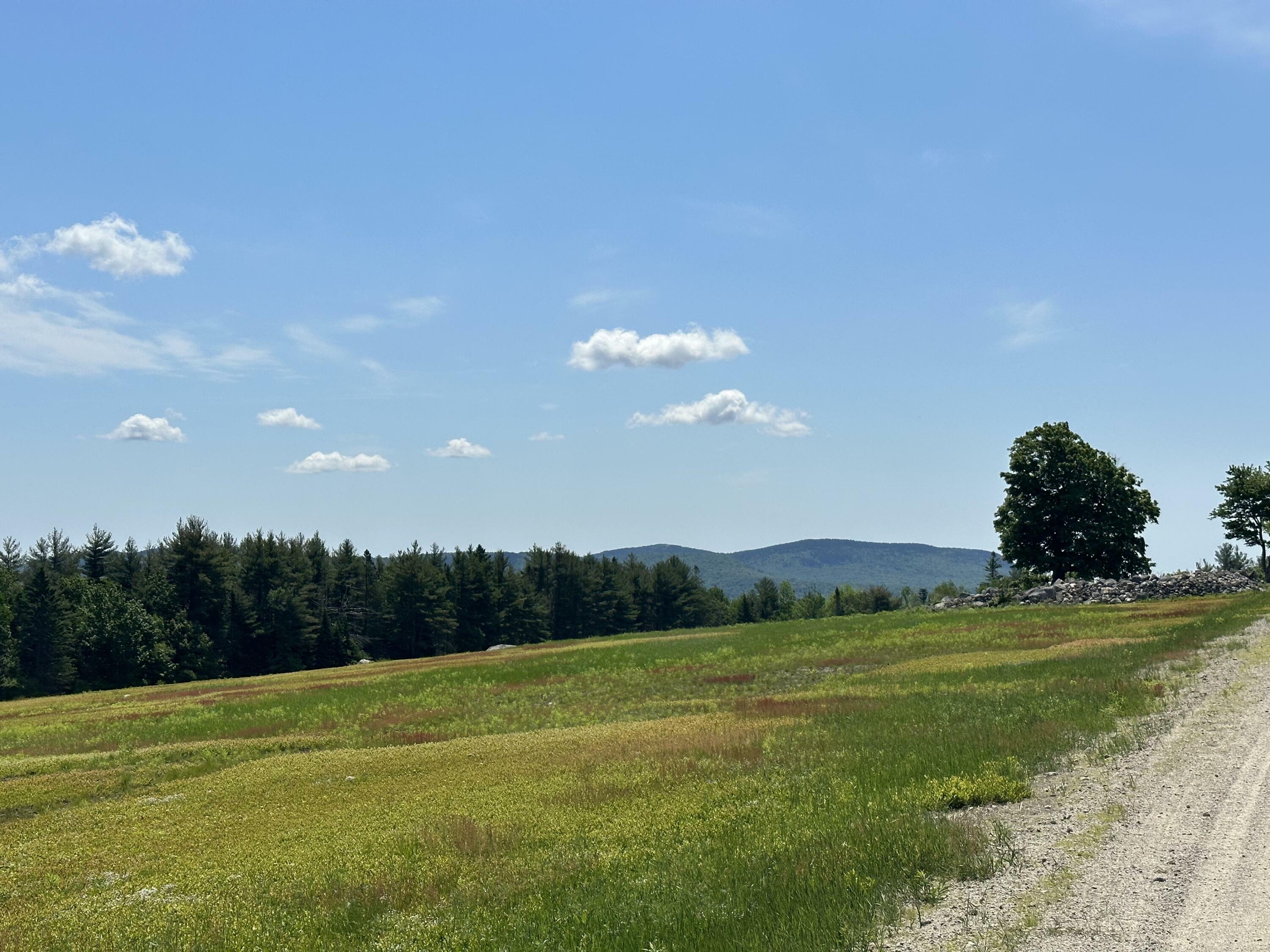 Property Photo:  L1,4,9,11 Martins Ridge Road  ME 04634 