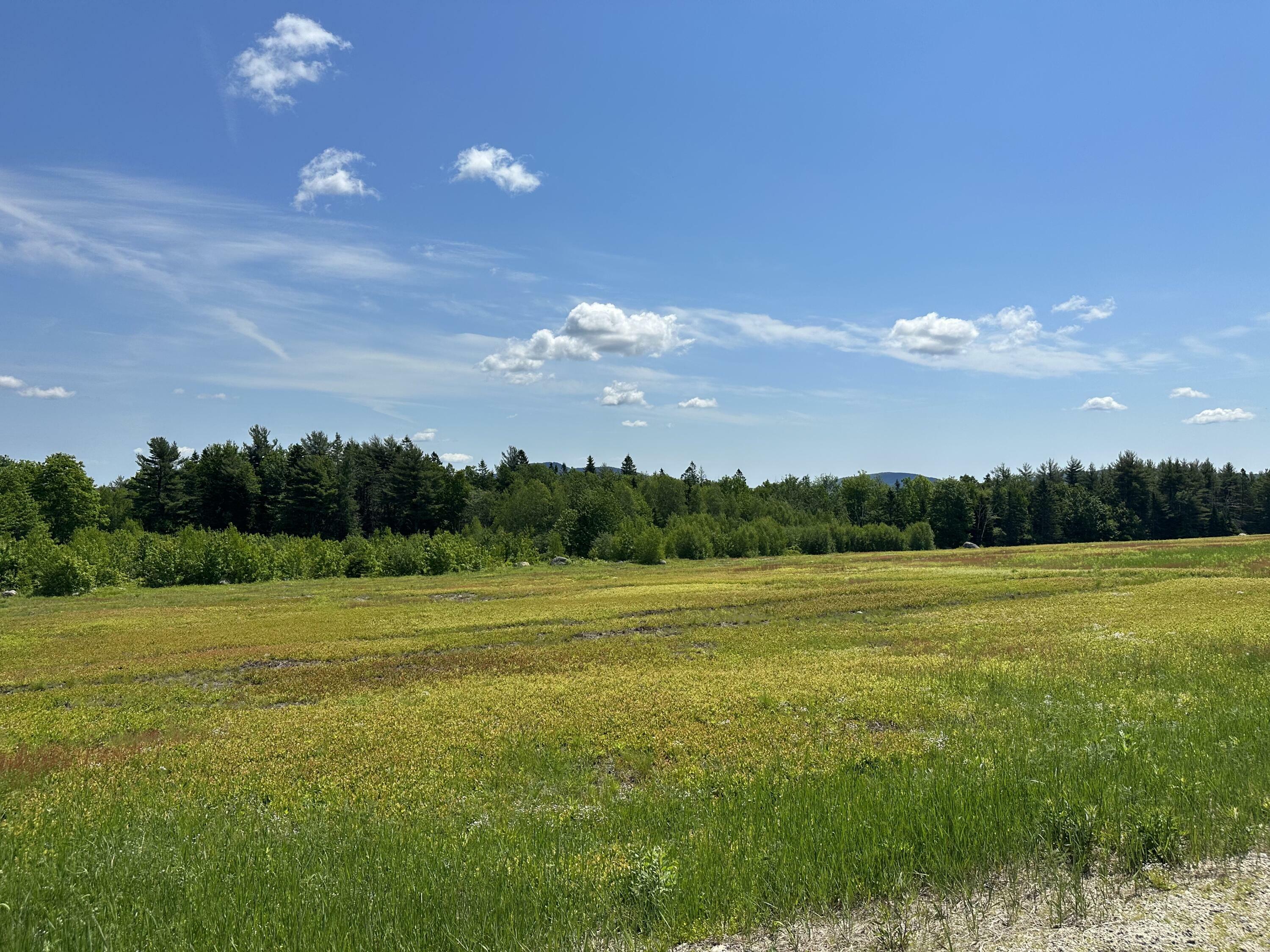 Property Photo:  Map13lot1 Martins Ridge Road  ME 04634 