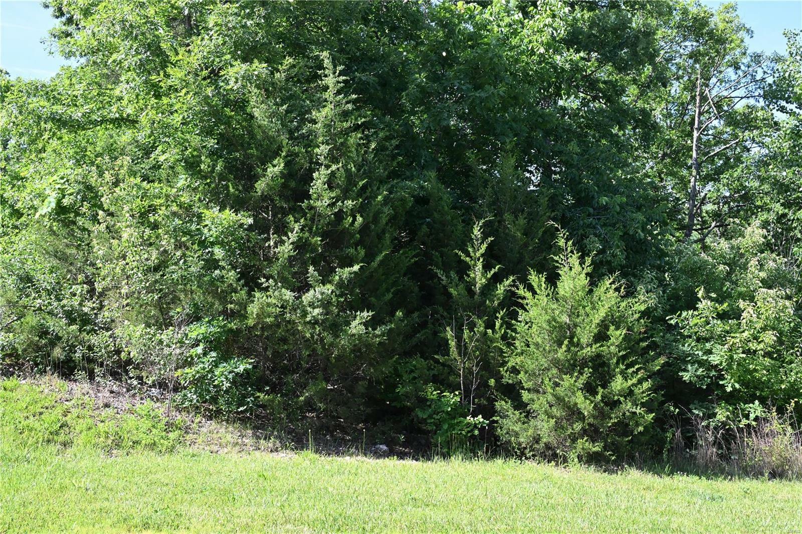 Property Photo:  1018 Sycamore Creek Drive  MO 63385 