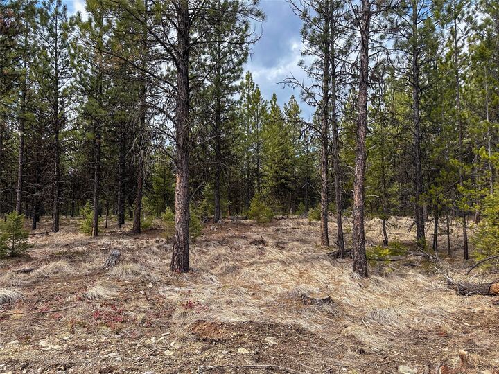 Property Photo: Lot 10 Acm Road N MT 59923