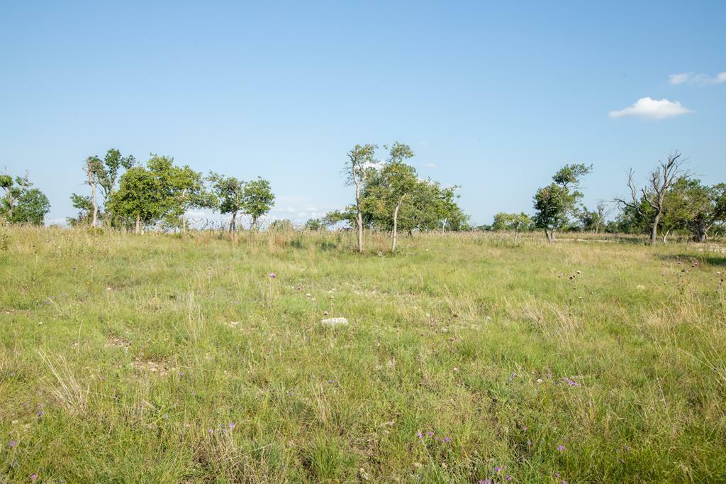 Property Photo:  Lot 21 Canyons Dr  TX 78624 