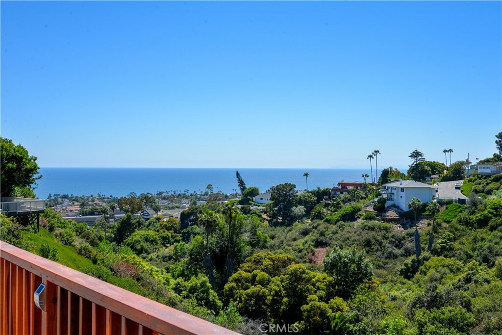 Property Photo:  305 E Avenida San Juan  CA 92672 