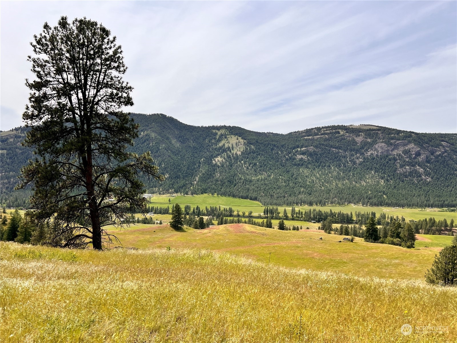 Property Photo:  0 Tbd Cathrine Creek Road  WA 99118 