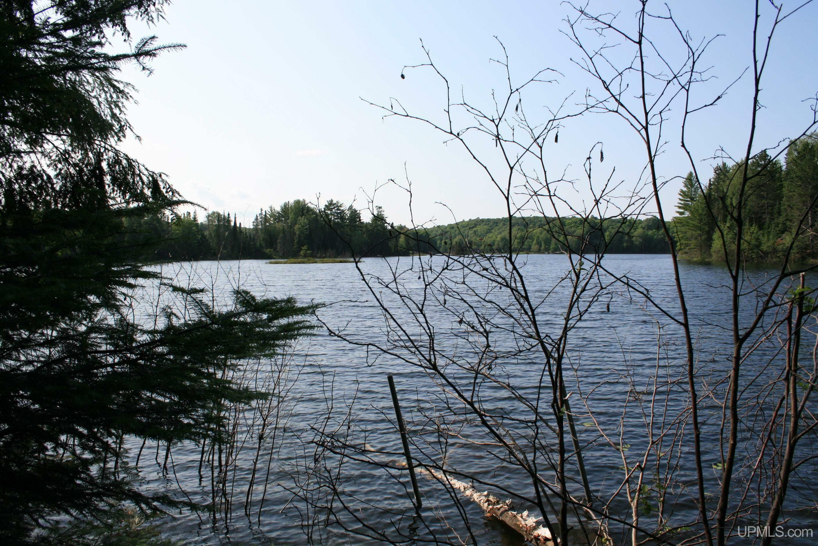 Property Photo:  Tbd Sucker Lake  MI 49969 