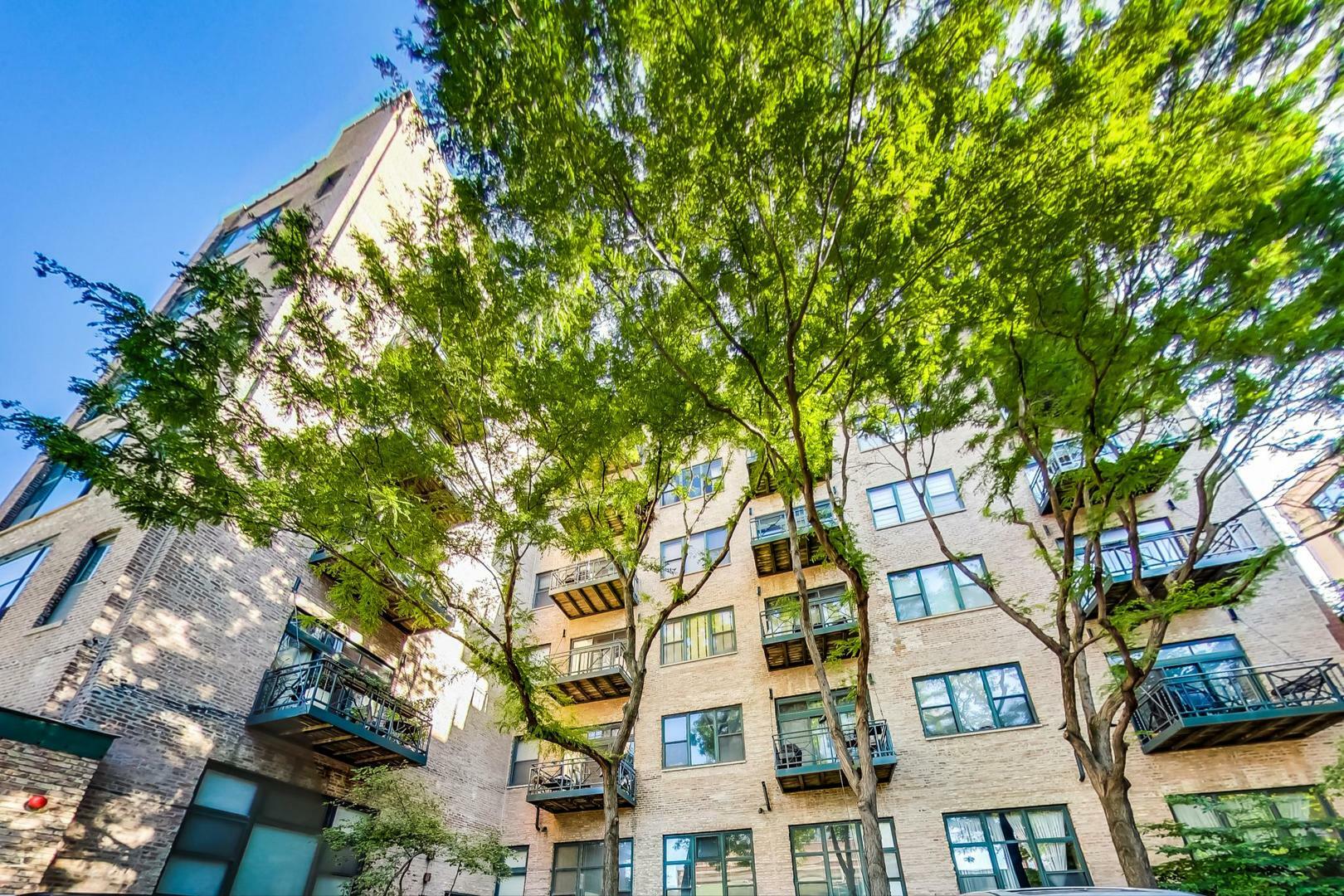 Property Photo: 701 W Jackson Boulevard 103 IL 60661