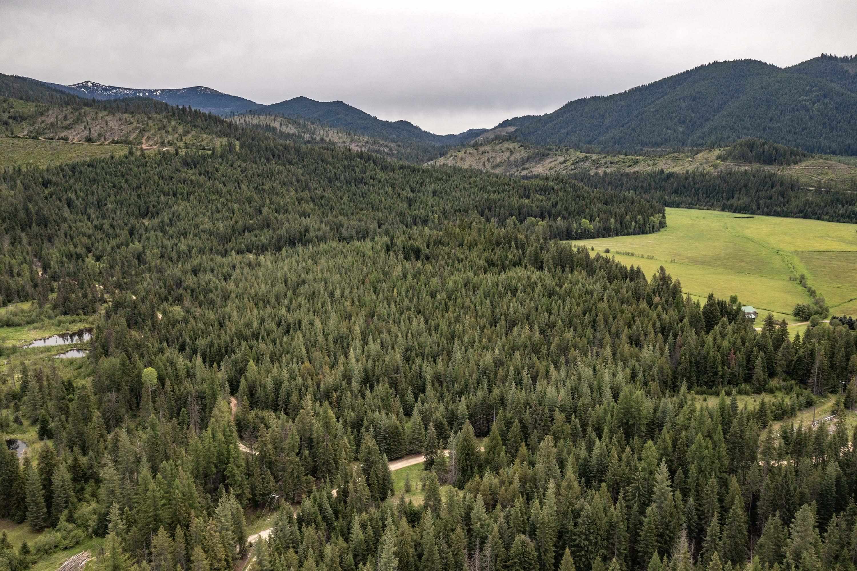 Property Photo:  Nna Fox Creek Spur - 20 Acres  ID 83856 