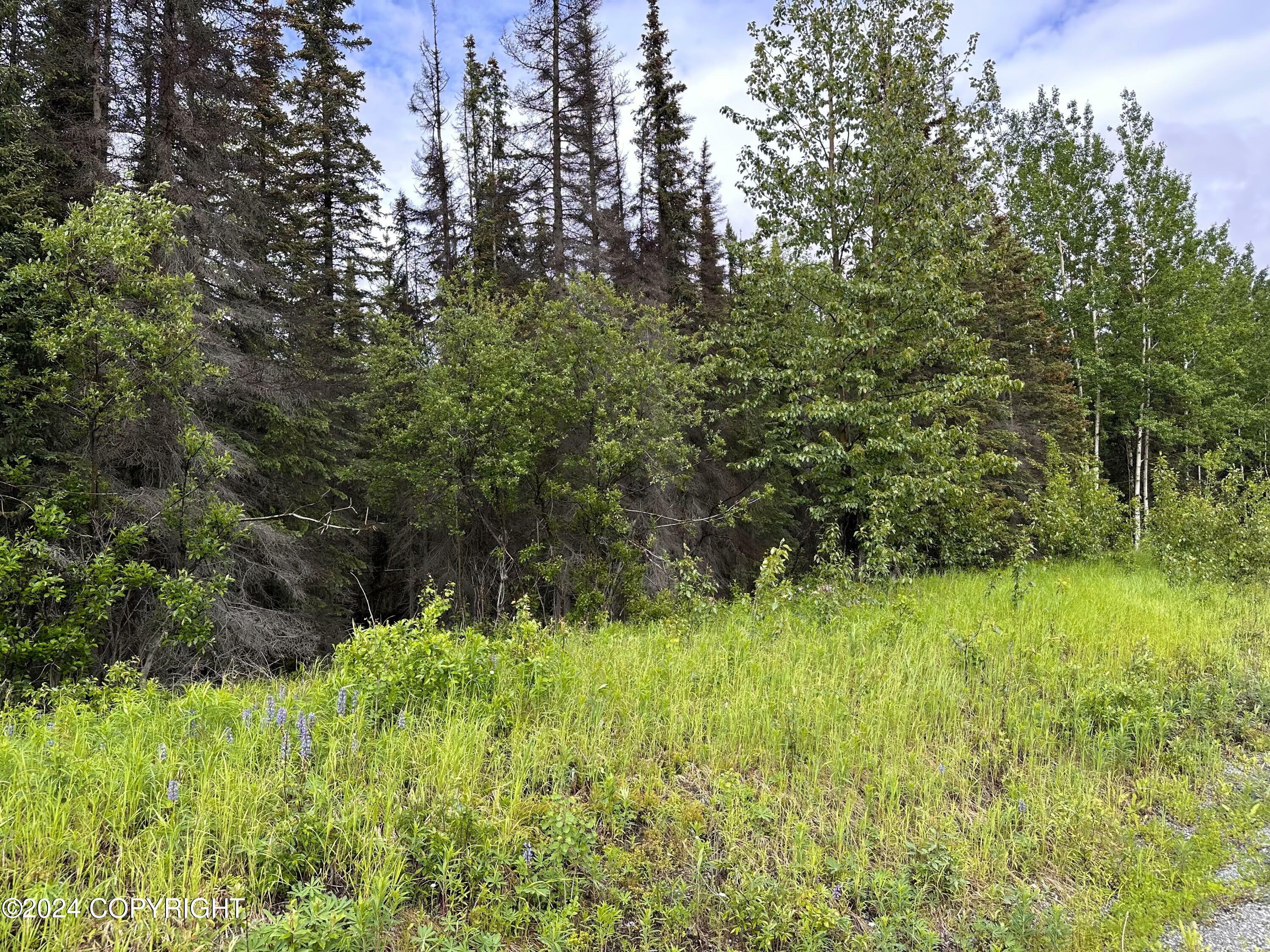 Property Photo:  33700 Browns Lake Road  AK 99669 