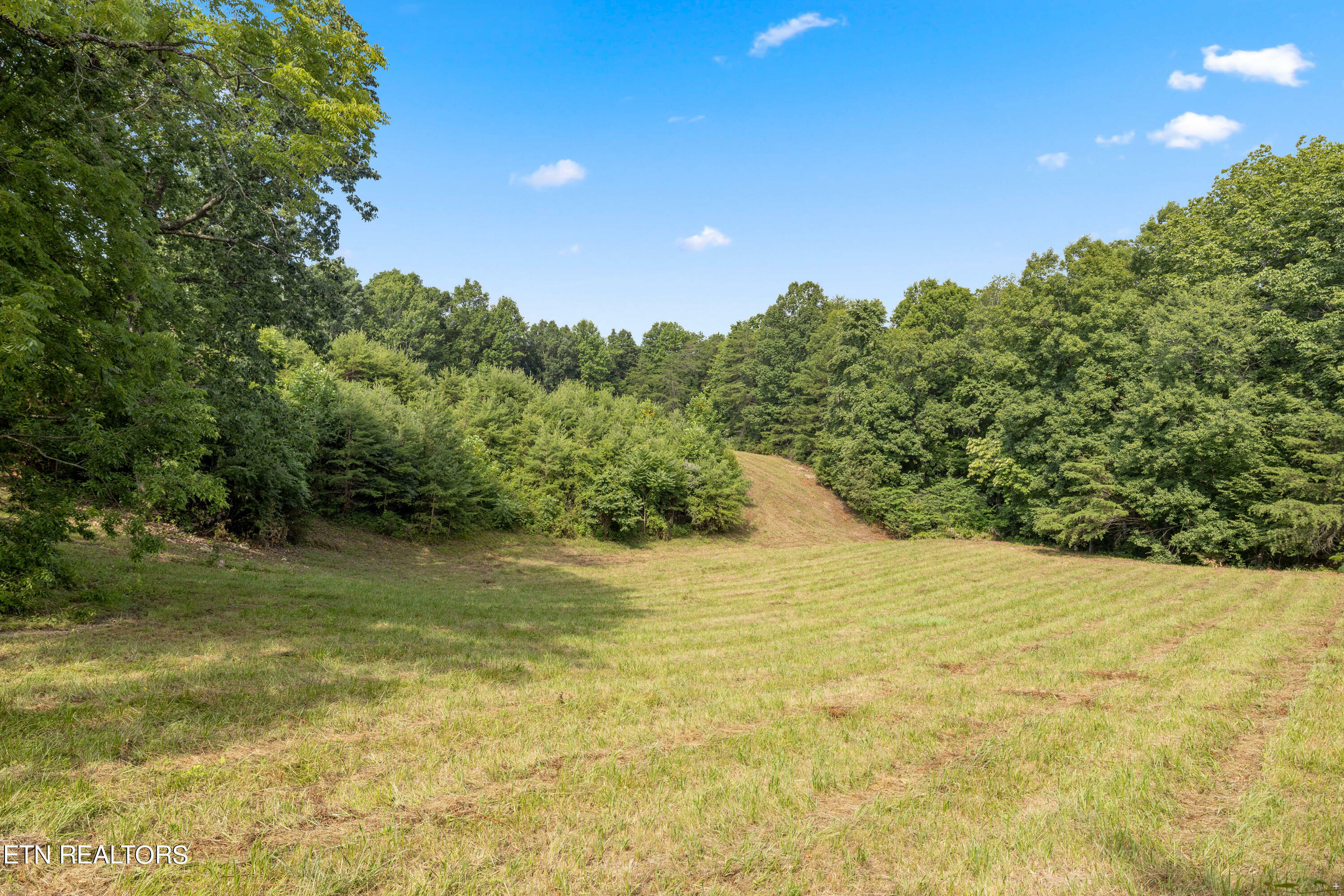 Property Photo:  0 Chestnut Stump Rd  TN 37766 