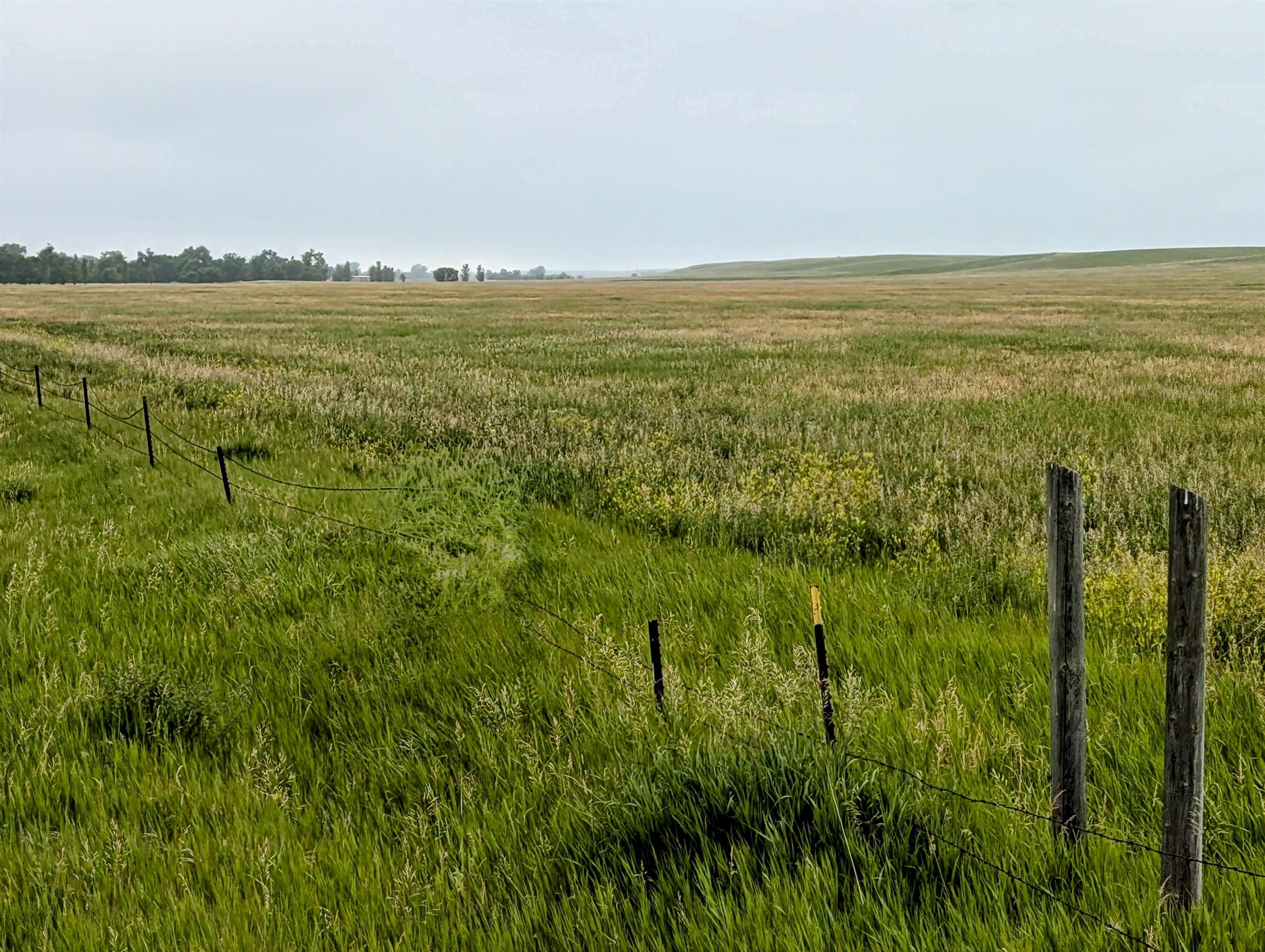 Property Photo:  80 Acres E Highway 34  SD 57785 