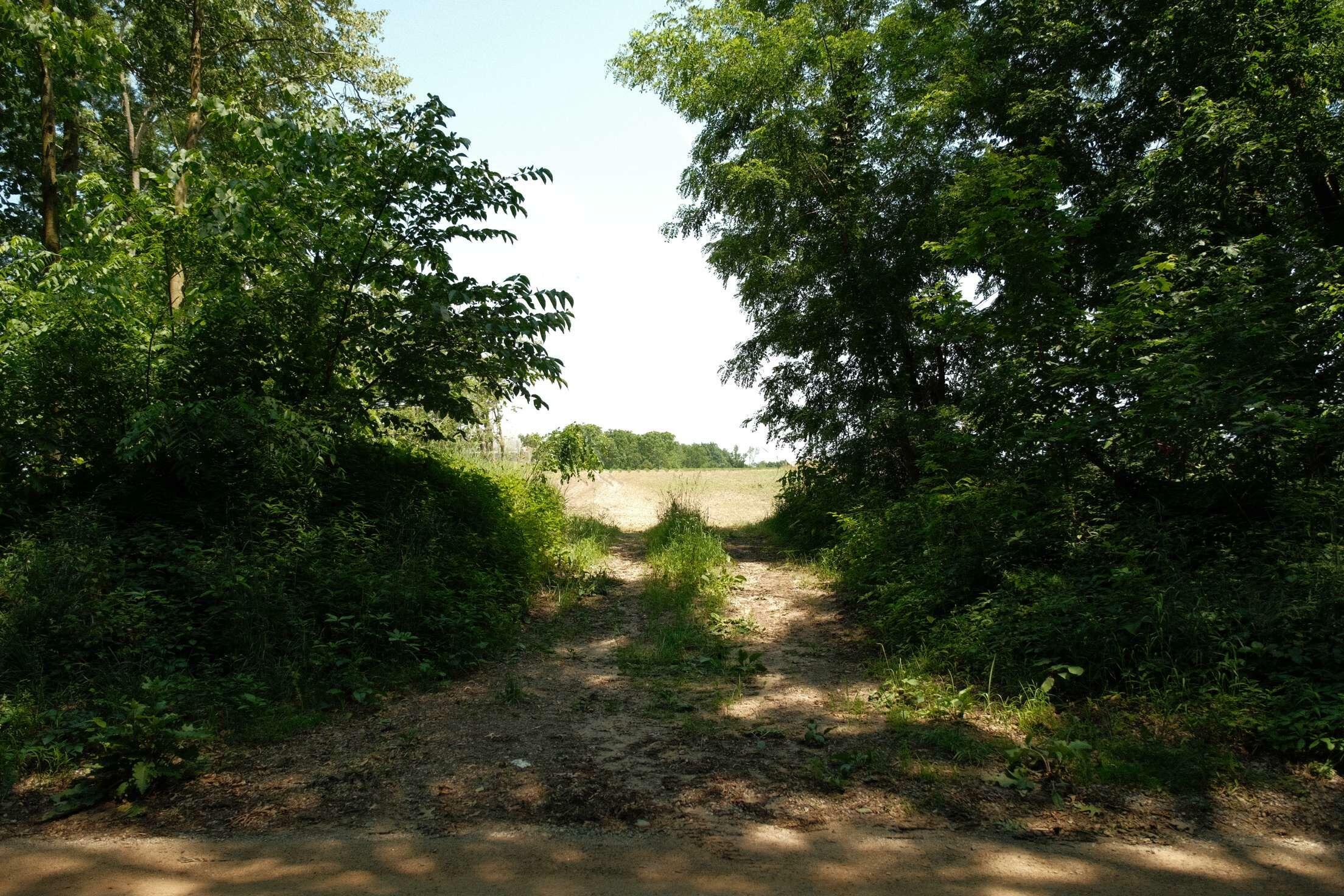 Property Photo:  V/L Mann Road  MI 49060 