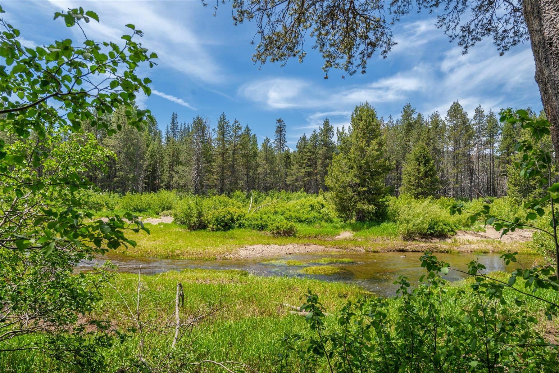 Property Photo:  50667 Conifer Drive  CA 95728 