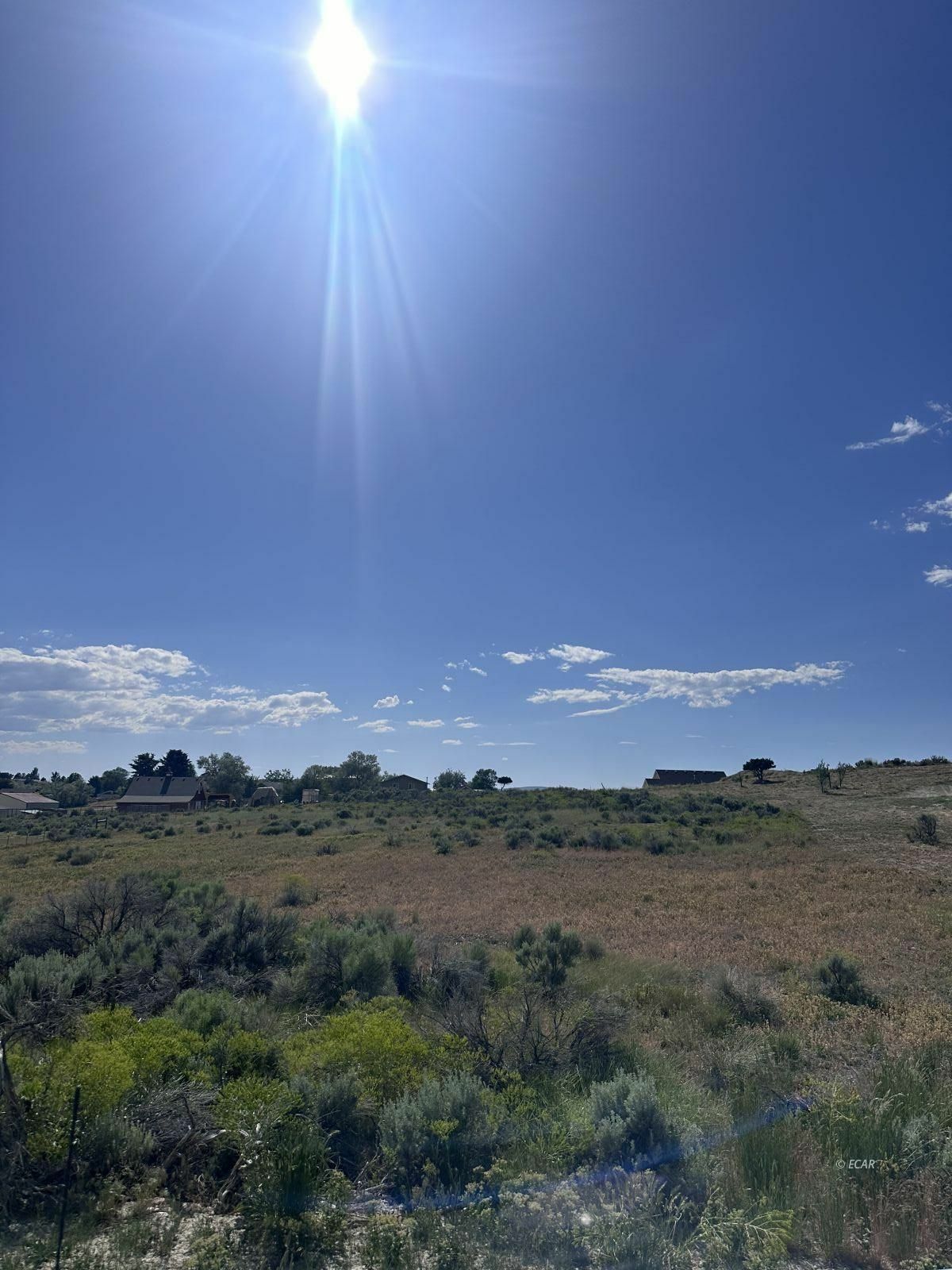 Property Photo: 137 Bellwood Drive NV 89815