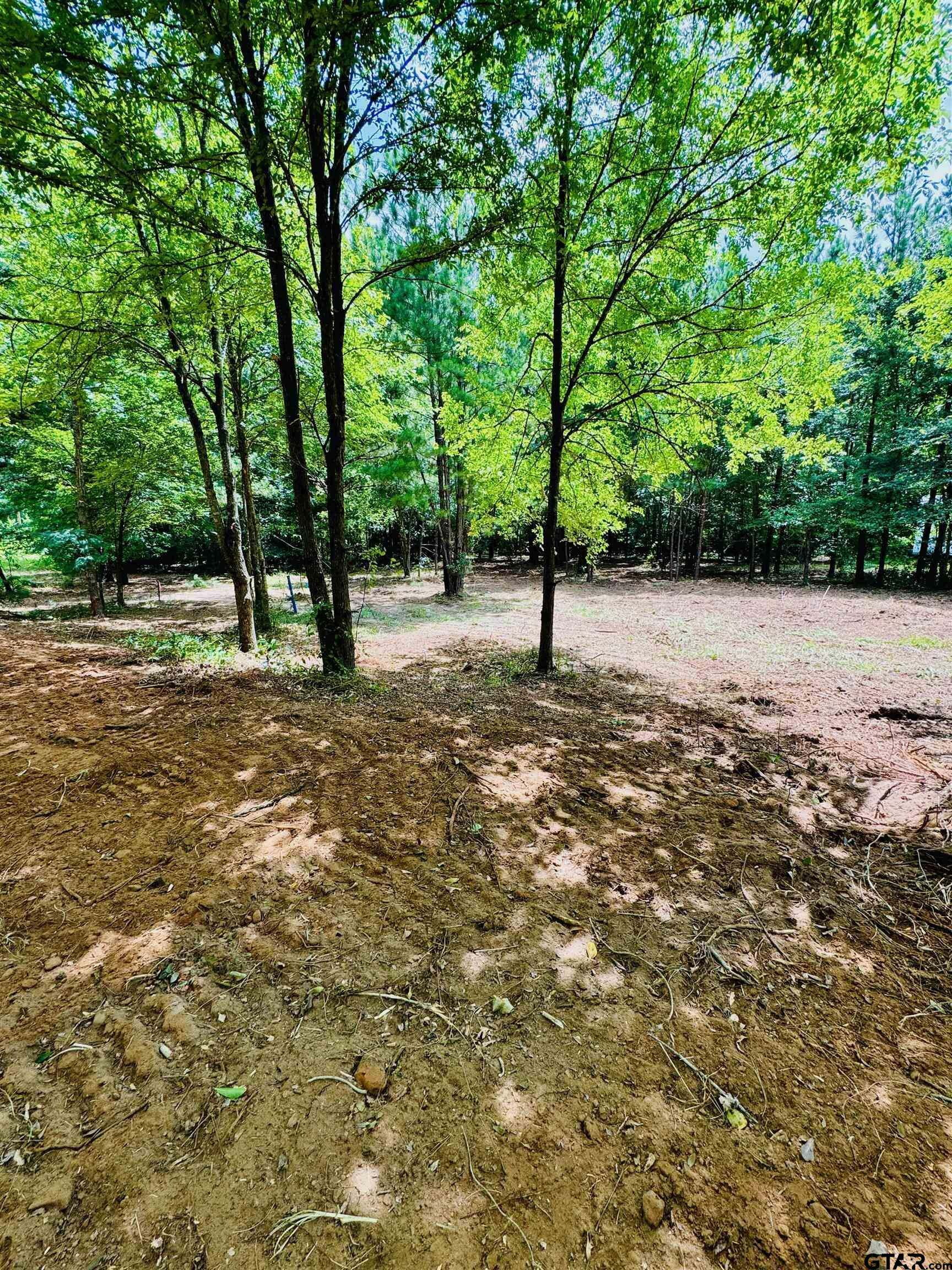 Property Photo:  Tbd Harris St  TX 75765 