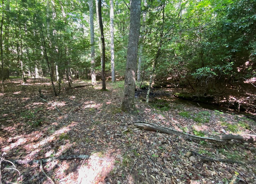 Ll322 Warnock Mountain Acres Lane  Blairsville GA 30512 photo