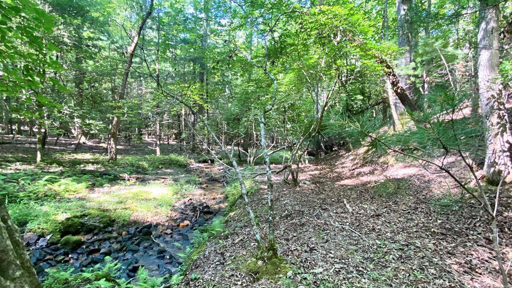 Ll322 Warnock Mountain Acres Lane  Blairsville GA 30512 photo