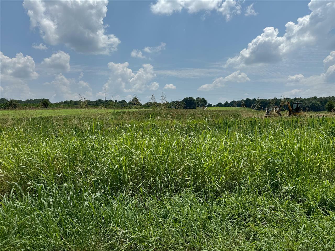 Property Photo:  Lot 4 Anna Sandhill Road  KY 42101 