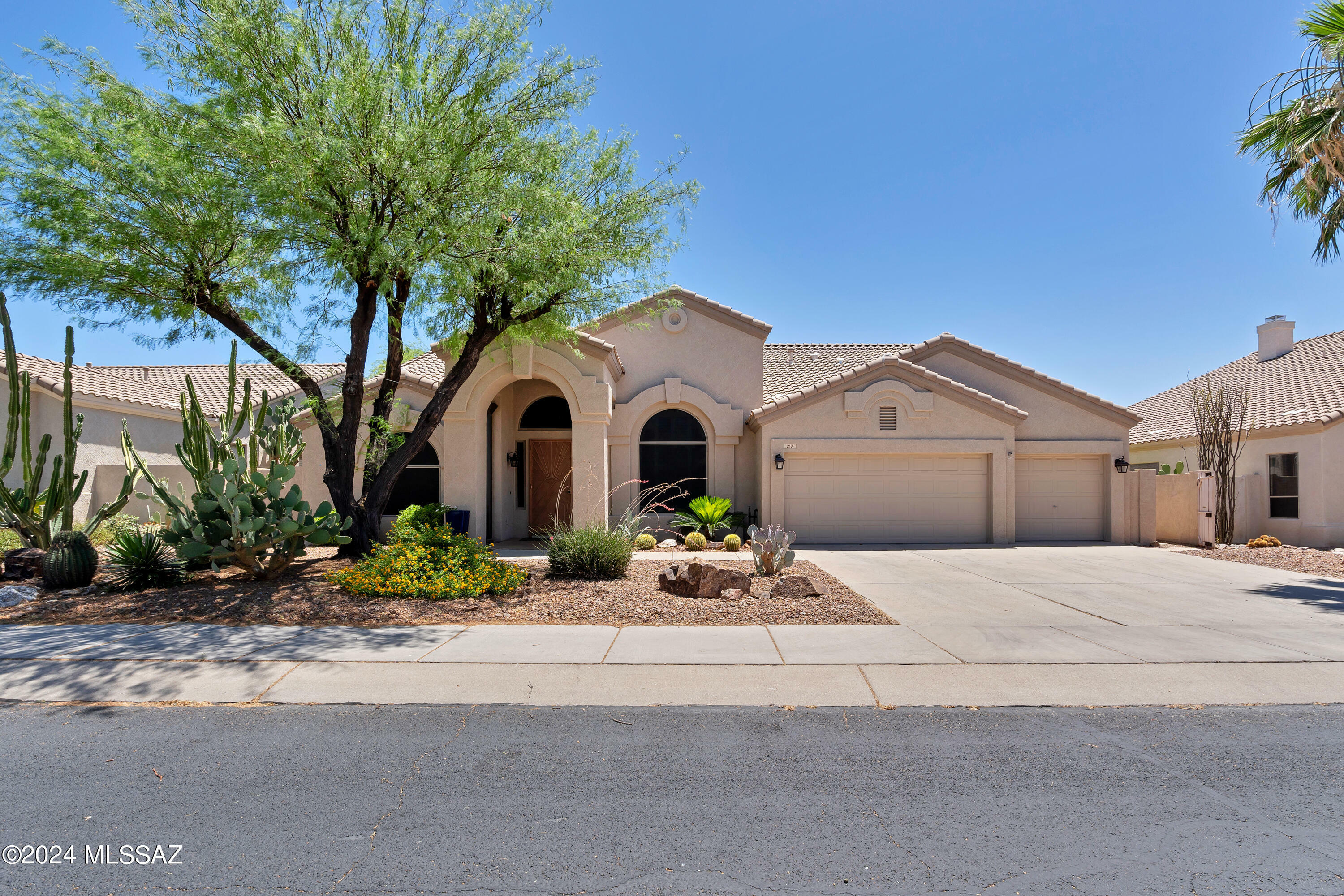 Property Photo:  217 W Milbrae Springs Drive  AZ 85755 