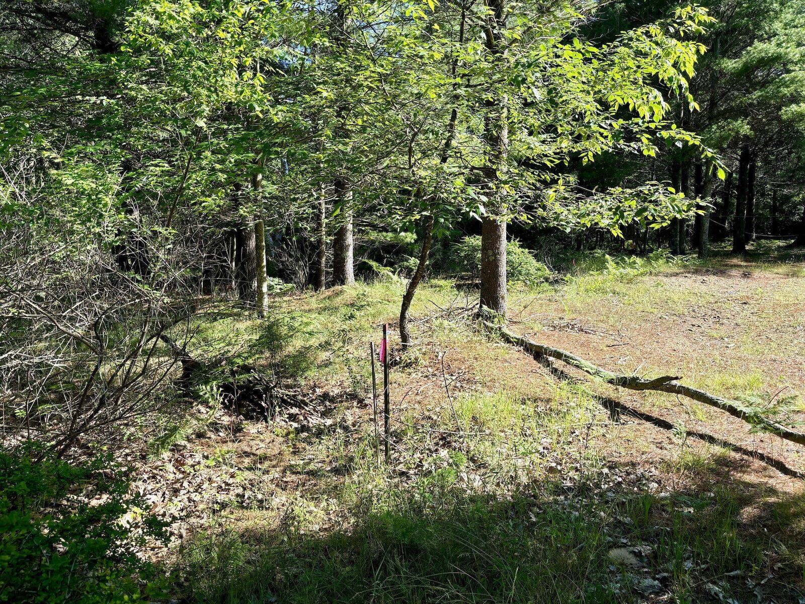 Property Photo:  0002 Ferndale Drive  MI 49675 
