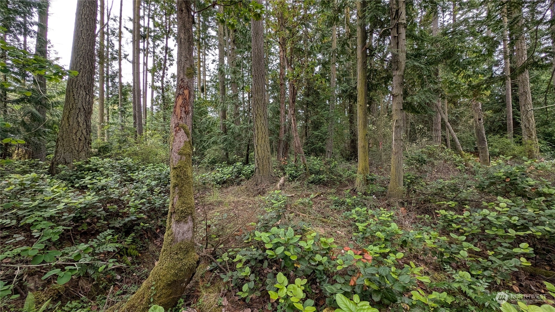 Property Photo: 0 Flagler Rd WA 98358