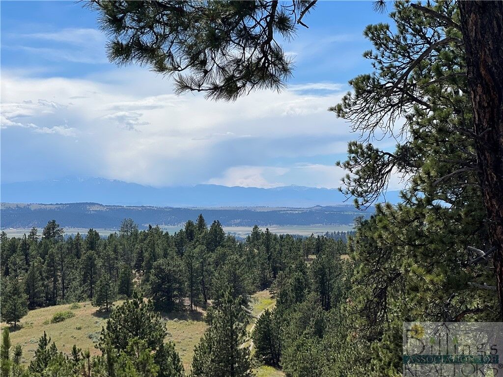 Property Photo: 387 Pine Crest MT 59019