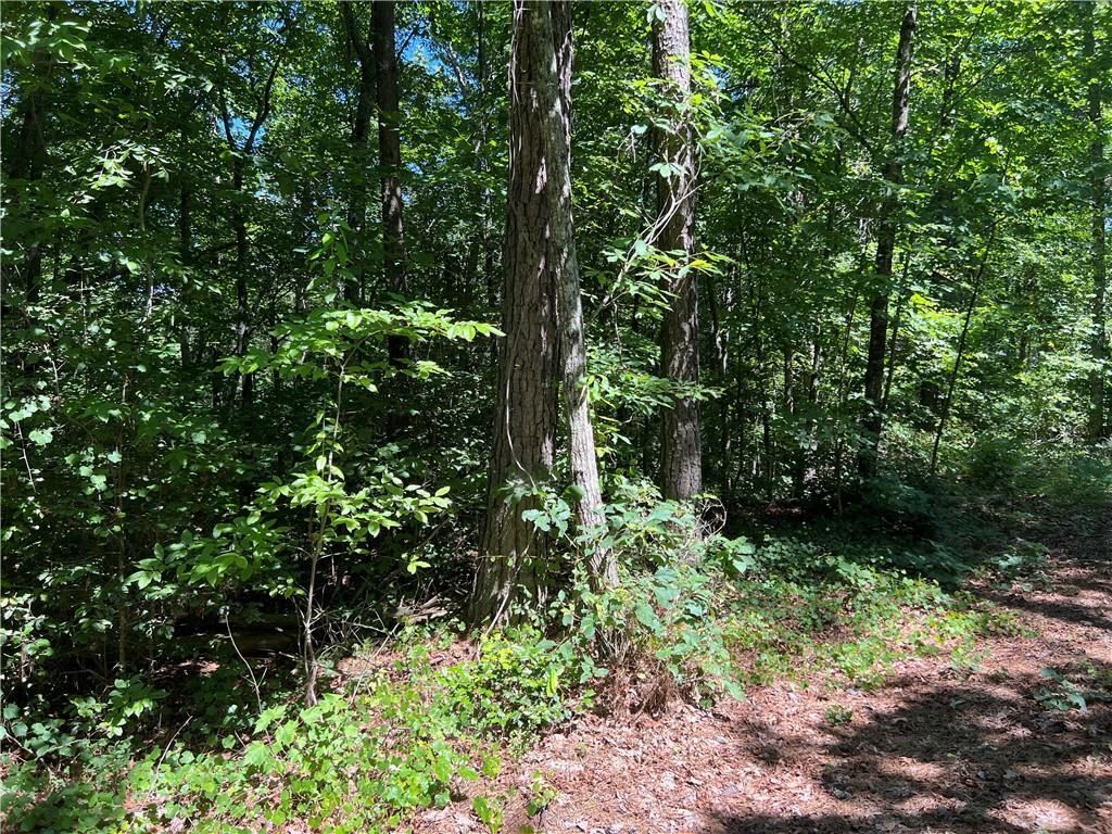 Property Photo:  Lot 2 River Highlands Road  GA 30533 