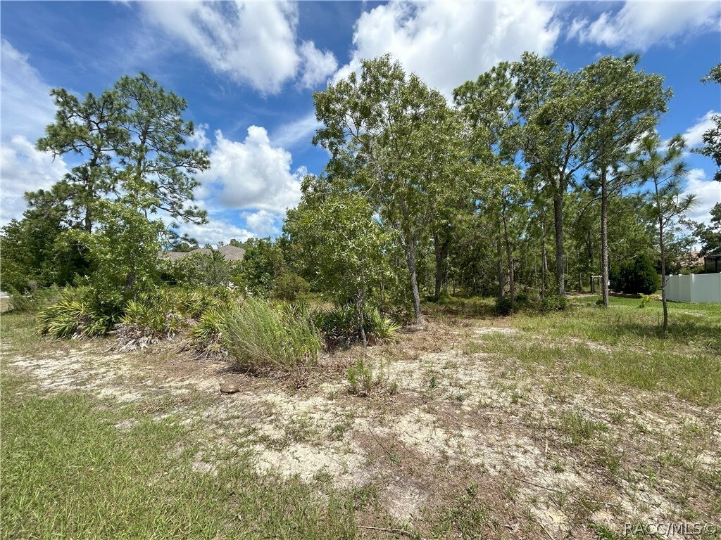 Property Photo:  5 Pawpaw Court N  FL 34446 