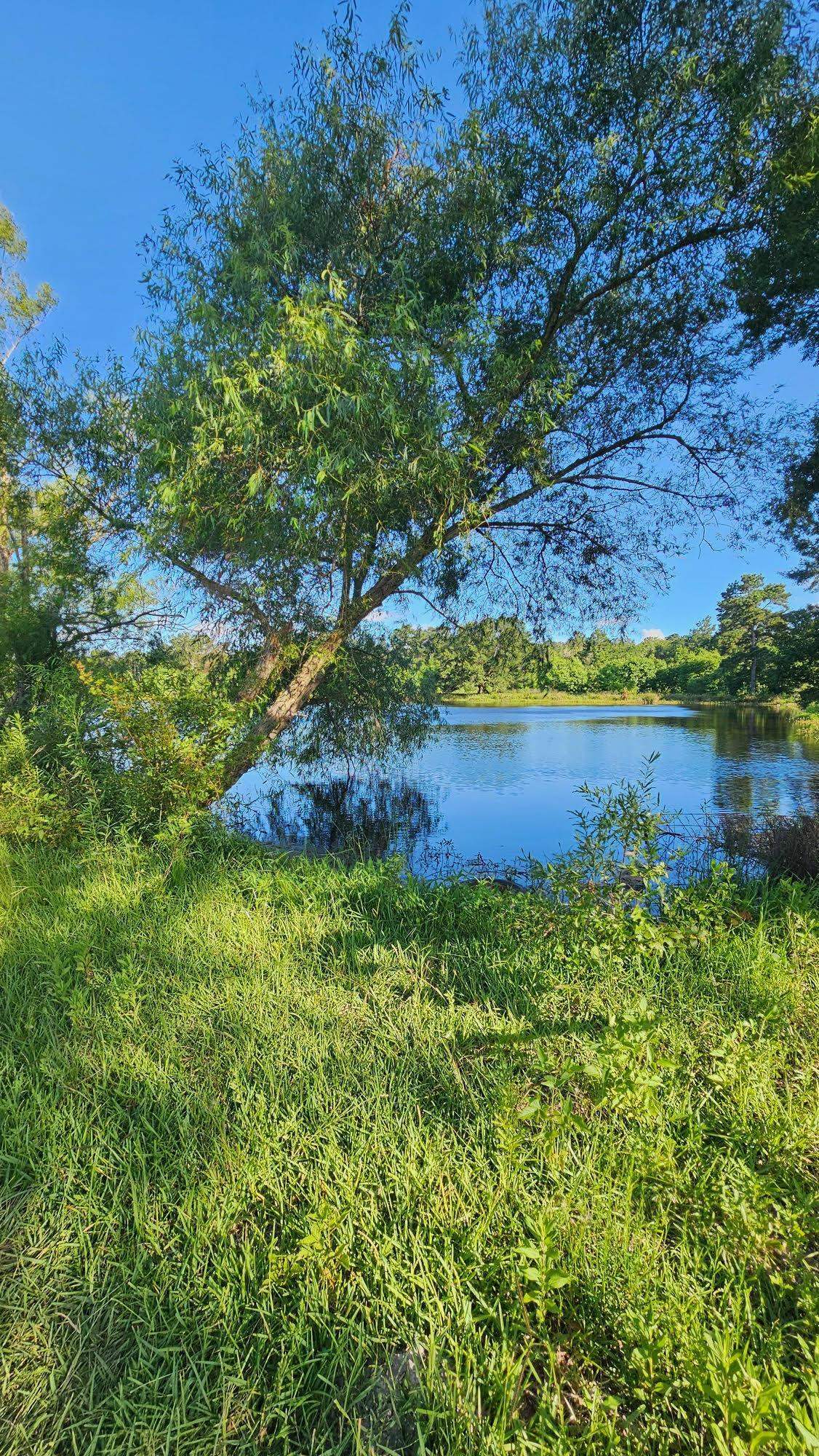 Property Photo:  Connell Rd  TX 77662 