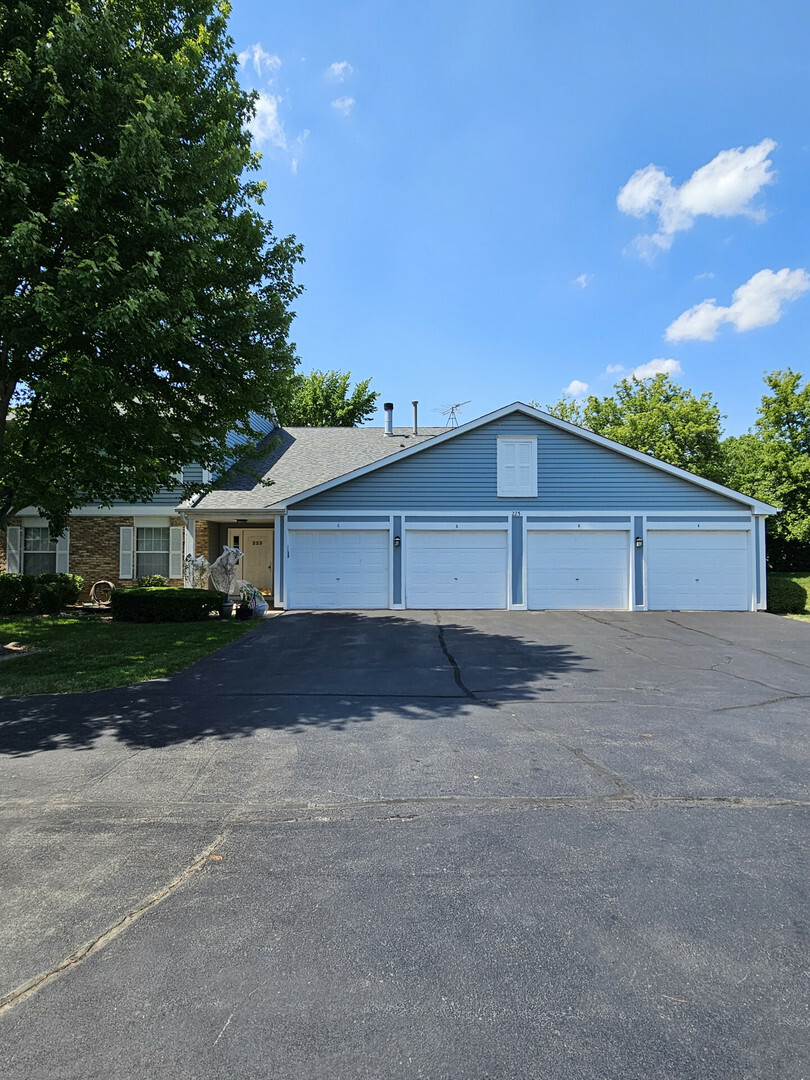 Property Photo: 223 Brett Circle D IL 60084