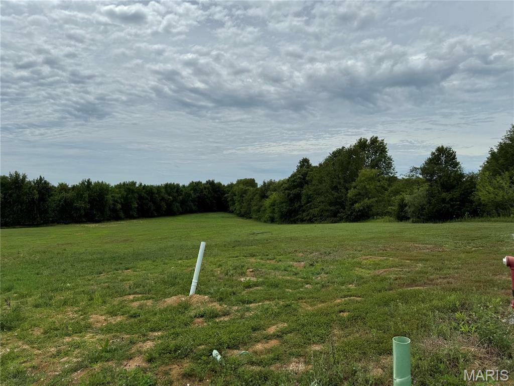 Property Photo: 523 Saint John Lane MO 63369