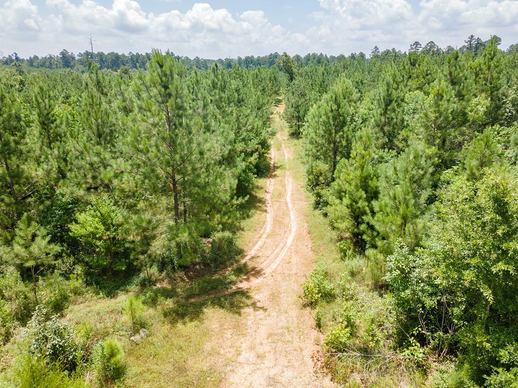 Property Photo:  1455 Neal Road  TX 75949 