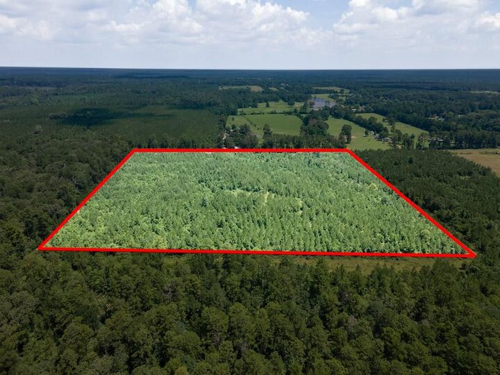 1455 Neal Road  Huntington TX 75949 photo
