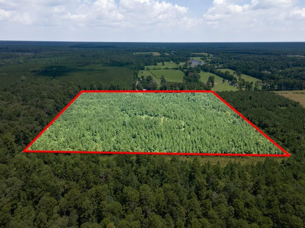 Property Photo:  1455 Neal Road  TX 75949 