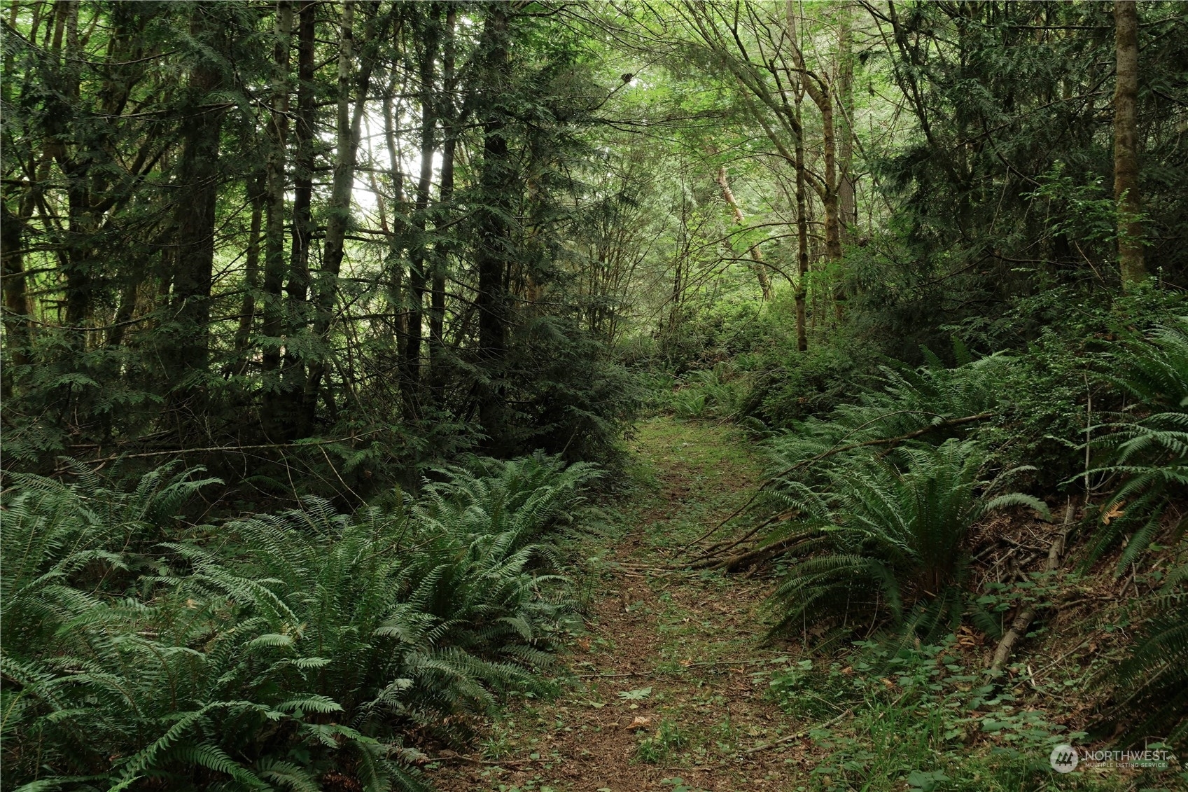 Property Photo: 0 SE 183rd And 184th Avenue SW 1,2&3 WA 98351