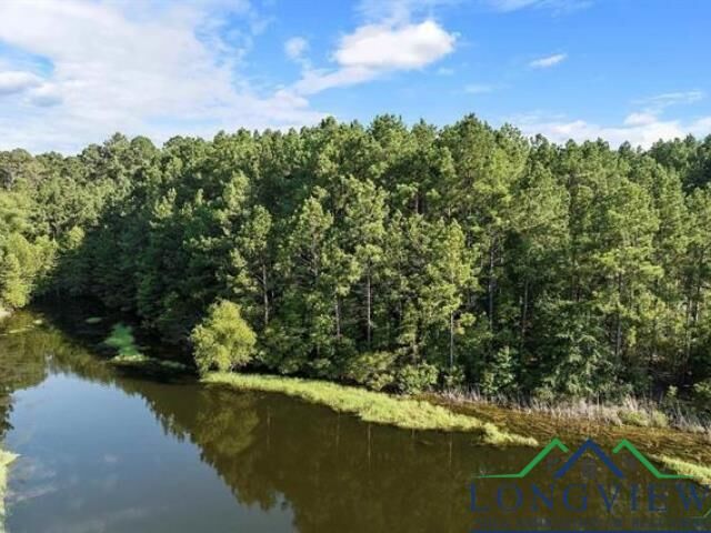 32 Circle Dr  Beckville TX 75631 photo
