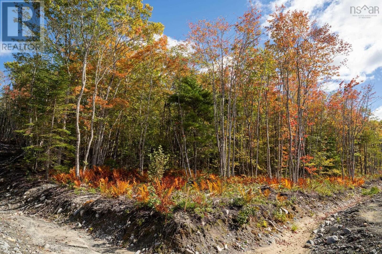 Property Photo:  89 Morton Drive  NS B0T 1K0 