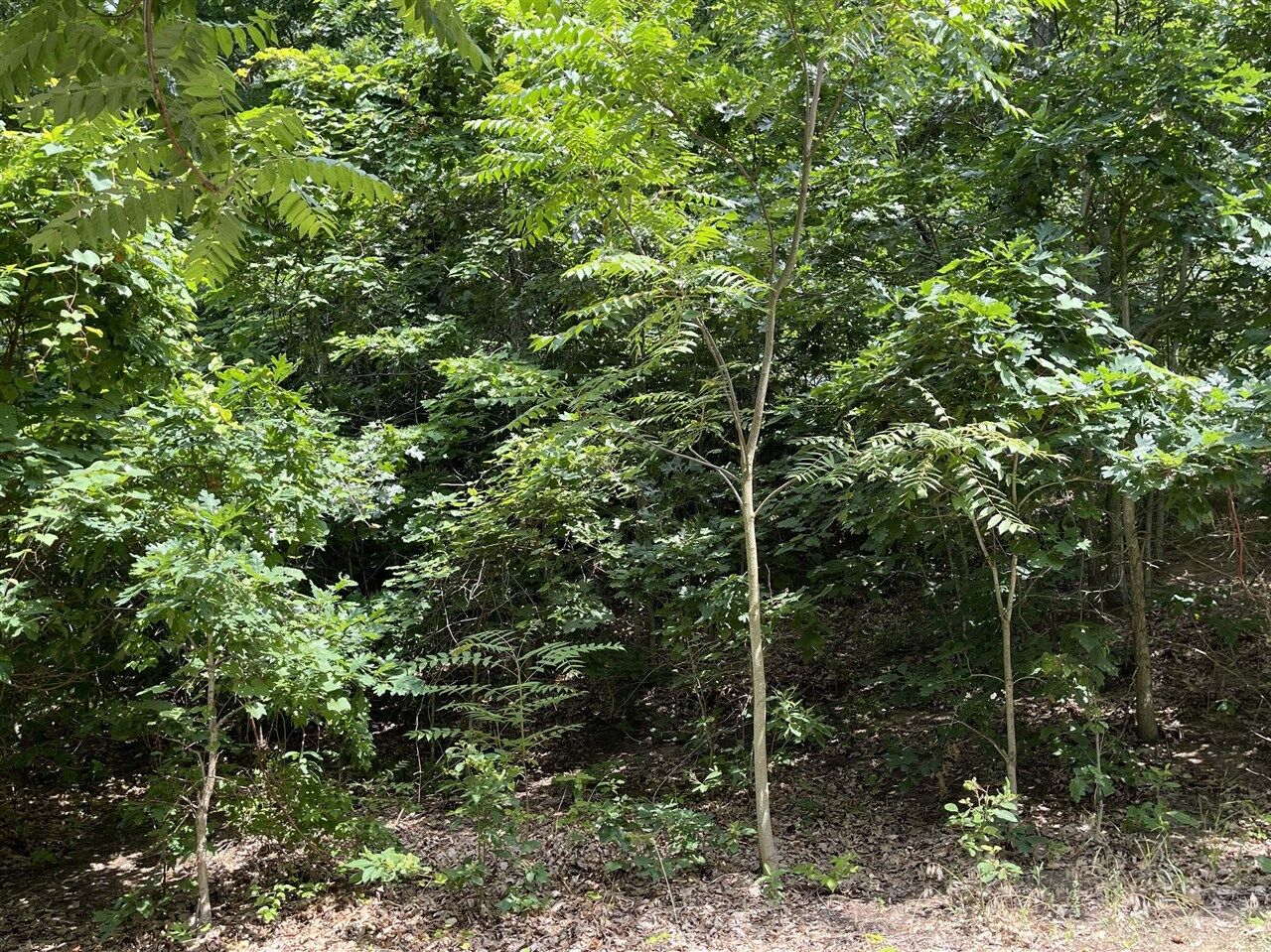 Property Photo:  9419 Kramer Drive  MI 49106-8315 