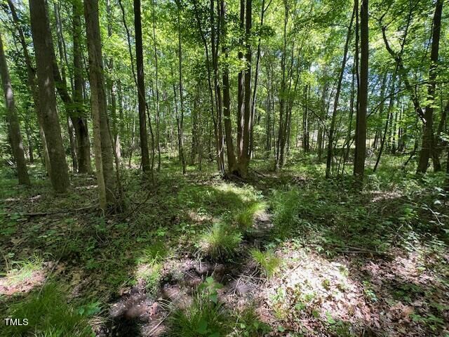 4721 Edwards Drive  Apex NC 27539 photo